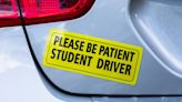 Driving instructor reacts to app-based driver education legislation