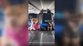 La aerolínea “Bark Air” aterriza su vuelo inaugural lleno de perros en Van Nuys
