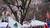 Alito’s House Reportedly Had ‘Appeal To Heaven’ Flag Used By Jan. 6 Rioters—Adding To Upside-Down Flag Controversy