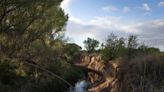 Environmental groups seek groundwater protections around Arizona's San Pedro River