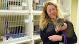 Head of Anne Arundel County Animal Control ‘separated’ from agency