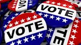 Brown County voters will see County Board, city, village, town, school board races in spring vote