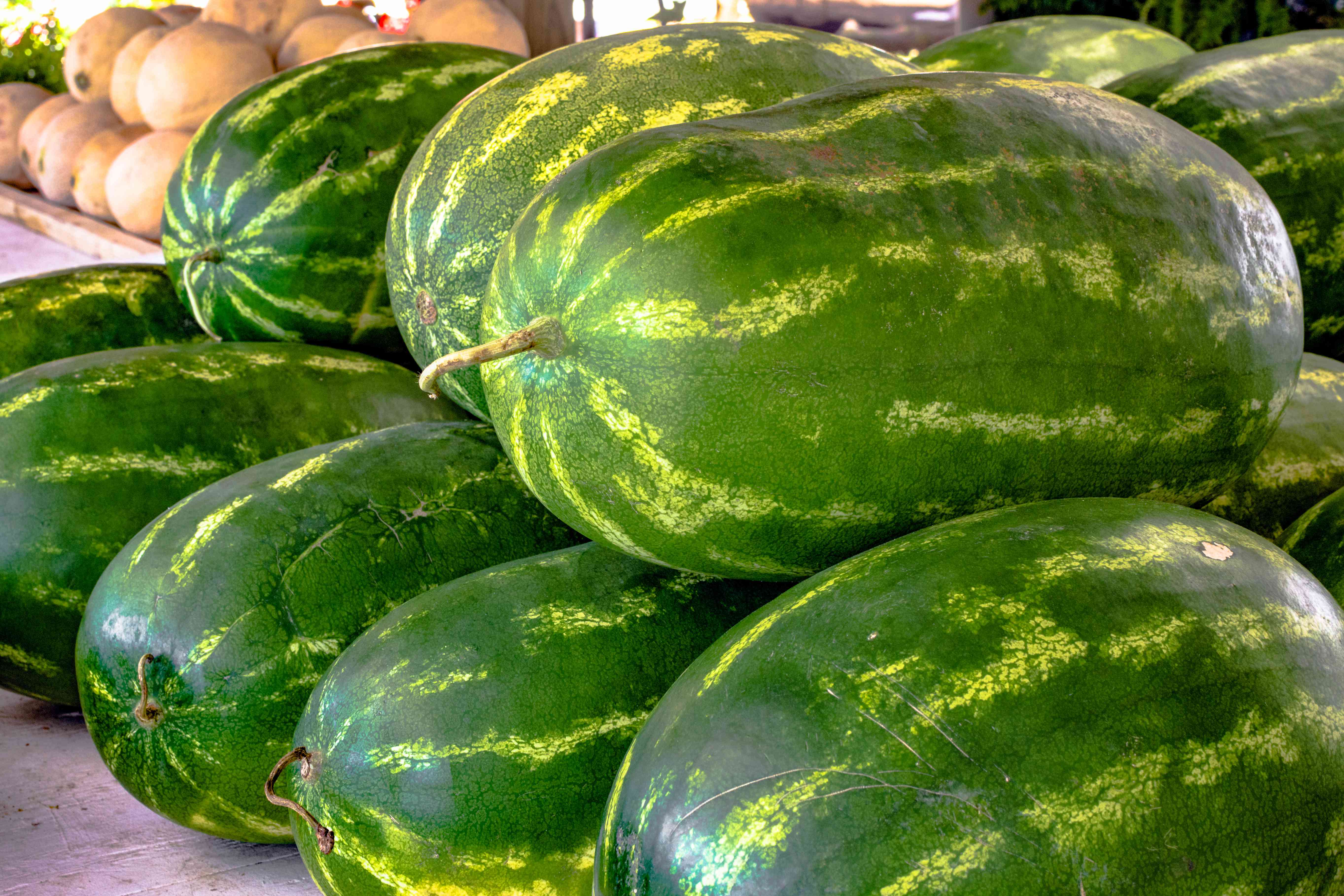 The Only Way To Tell When a Watermelon is Ripe, According to a Farmer