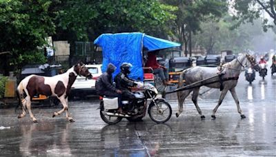 Light to moderate rainfall likely in Mumbai today