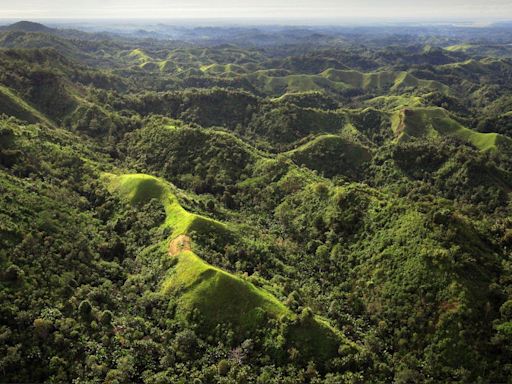 Gang kills women and children in Papua New Guinea massacre - reports