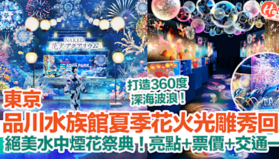 【東京旅遊2024】品川水族館夏季花火光雕秀回歸！絕美水中煙花祭典！亮點+票價+交通一覽！ | HolidaySmart 假期日常