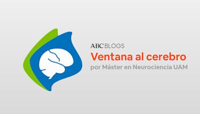 Ventana al cerebro - Page 4 of 4 - Una mirada al paisaje más fascinante del universo: el cerebro. Y hacia quienes lo investigan. Nos guían profesores y alumnos del Máster en Neurociencia de la UAM