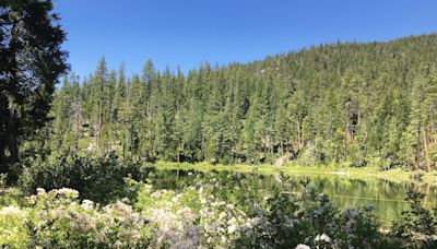 Trinity River project in Siskiyou touted as water protection for all of California