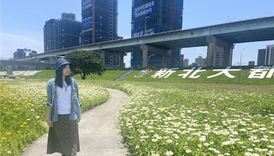 新北大都會公園絢爛花海綻放 邀民一探少女的祕密花園