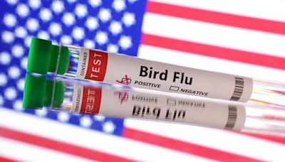 Colorado reports human case of bird flu