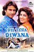 Dil Tera Diwana (1996 film)