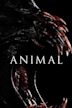 Animal (2014 film)