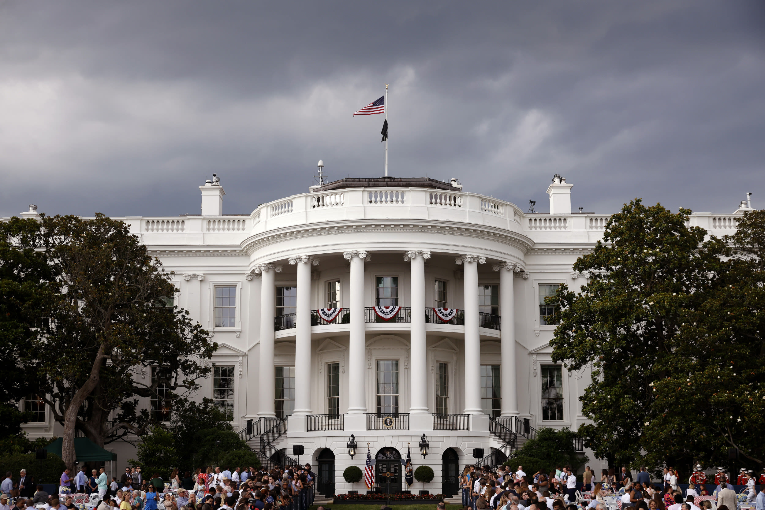 Video of bird landing on White House reporter's head goes viral