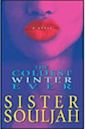 The Coldest Winter Ever (The Coldest Winter Ever, #1)