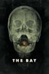 The Bay (film)