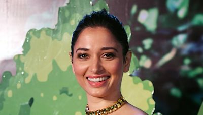 All About Illegal IPL Streaming Case Involving Actor Tamannaah Bhatia, Singer Badshah