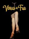 Venus in Fur (film)