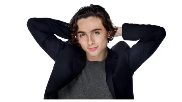 Timothée Chalamet Net Worth 2024: How Much Money Does He Make?