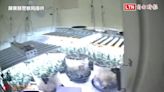 男子自創矮化法種大麻產量增40倍 警查獲市值10.8億(屏東縣警察局提供) - 自由電子報影音頻道