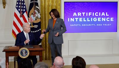 One business world concern that is already a focus for Kamala Harris: AI