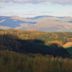 Grizedale Forest