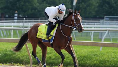 Belmont Stakes 2024 odds, picks, post draw: Mystik Dan, Seize the Grey, plus Sierra Leone predictions