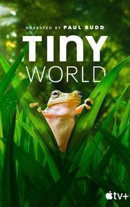 Tiny World