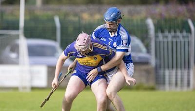 Classy Carnew Emmets too good for Barndarrig in Intermediate hurling championship clash