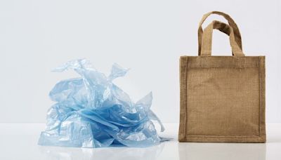 International Plastic Bag Free Day: Replace plastic bags with these 5 sustainable alternatives