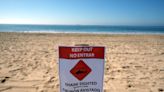 'Shark!' Swimmers race to save bleeding man off Southern California beach
