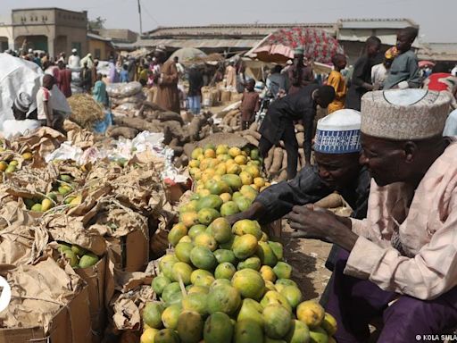 Nigeria: High cost of living bites hard – DW – 07/15/2024