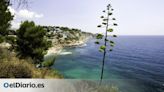 Seis rutas de senderismo en Alicante para desconectar en plena naturaleza