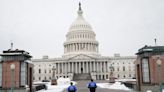 ‘Late Show’ Staffers Detained By U.S. Capitol Police, Including Robert Smigel, Voice Of Triumph, The Insult Comic Dog