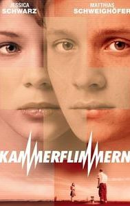 Kammerflimmern