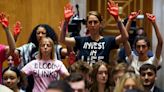 Pro-Palestine protesters repeatedly interrupt Blinken in Senate