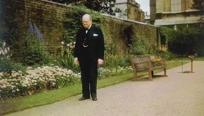 Your chance to tour garden of Number 10 Downing Street: Where Churchill relaxed in WWII, David Cameron and Nick Clegg had media love-in and Dominic Cummings faced questions ...