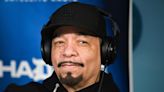 Public Enemy, Ice-T to headline 2 free days of concerts in DC for 50th anniversary of hip-hop