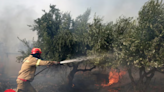 熱風暴肆虐 死亡谷出現地球最高溫 西班牙飆上44度引發森林野火