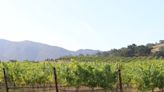 Prestigious Santa Barbara Winery Invites You To Walk Their Stunning Estate For Mental Health Services Fundraiser