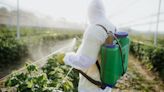 Pesticides are potentially as bad as smoking for raising the risks of certain cancers. Here's how to reduce your exposure.