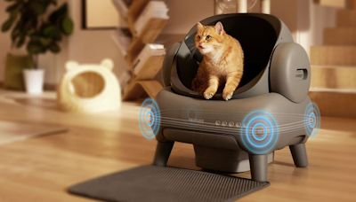 Neakasa M1 automatic cat litter box: A smart solution for modern pet care