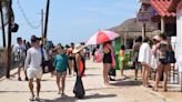 Así surgió la famosa playa de los cerditos en Progreso, Yucatán