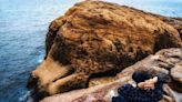 海上療癒岩石特蒐！打卡全台10大動物奇岩
