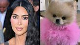 Kim Kardashian Shares Adorable Photo of Her Dog Sushi Wearing a Fluffy Pink Sweater