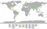 Humid subtropical climate