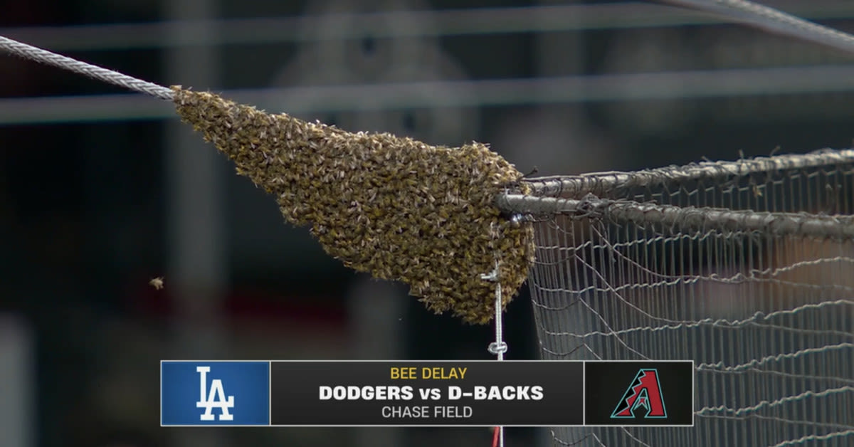 Dodgers vs. Diamondbacks delayed by bees. Yes, bees