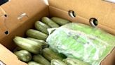 Agents squash drug shipments at California border - TheTrucker.com