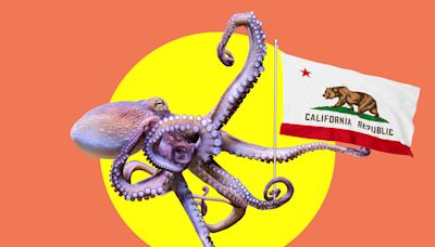 It's Now Illegal to Farm Octopus in California — Here's Why