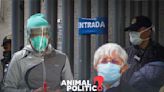 Nueva variante Pirola de COVID-19 no representa riesgos mayores, afirma la Secretaría de Salud