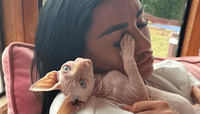 Katie Price forced to put down 5-month-old pet after backlash over animals